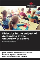 Patricia Aguilar Talamante, José Alfredo Heredia Bustamante, Nora Gabriela Sainz Zárate - Didactics in the subject of Accounting at the University of Sonora.