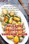 Richard Klein - NEJLEP¿Í PR¿VODCE VA¿ENÍM HOUB