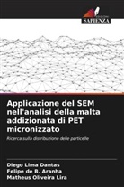 Felipe de B. Aranha, Diego Lima Dantas, Matheus Oliveira Lira - Applicazione del SEM nell'analisi della malta addizionata di PET micronizzato