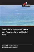 Prateek Shrivastava, Saurabh Shrivastava - Curriculum maternità sicura con l'approccio in sei fasi di Kern