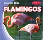 Bray Jacobson - Flamingos