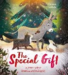 Ruth Doyle, Carmen Saldaña, Carmen Saldaña - The Special Gift