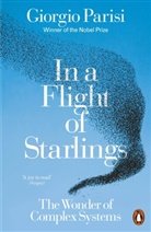 Anna Parisi, Giorgio Parisi, Parisi Giorgio - In a Flight of Starlings