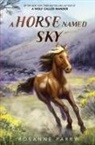 Rosanne Parry, Parry Rosanne, Kirbi Fagan, Fagan Kirbi - A Horse Named Sky