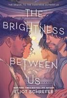 Eliot Schrefer - The Brightness Between Us