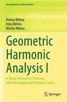 Dorina Mitrea, Irina Mitrea, Marius Mitrea - Geometric Harmonic Analysis I