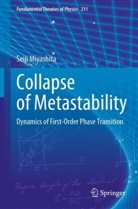 Seiji Miyashita - Collapse of Metastability