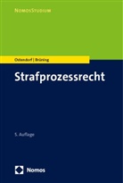 Janique Brüning, Heribert Ostendorf - Strafprozessrecht