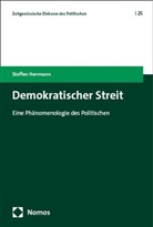 Steffen Herrmann, Steffen Herrmann - Demokratischer Streit