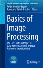 Ángel Alberich-Bayarri, Bellvís Bataller, Fuensanta Bellvís Bataller, Bellvís-Bataller, Fuensanta Bellvís-Bataller - Basics of Image Processing