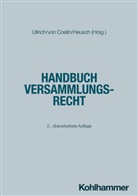 Isabel Nina Boesenberg, Christian von Coelln, Andreas Heusch, Oliver Jitschin, Jana Lorenz, Jana u a Lorenz... - Handbuch Versammlungsrecht