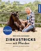 Sigrid Schöpe - Zirkustricks mit Pferden