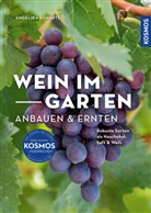 Angelika Schartl, Claudia Schick - Wein im Garten anbauen & ernten