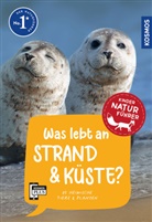 Holger Haag - Was lebt an Strand und Küste? Kindernaturführer