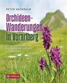 Peter Nachbaur - Orchideen-Wanderungen in Vorarlberg