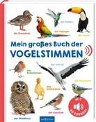 Mein großes Buch der Vogelstimmen
