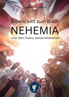 Siegfried Seltmann, Motifant Media-Verlag, Motifant Media-Verlag - Bibelarbeit zum NEHEMIA unter dem Thema: Gottes Mitarbeiter