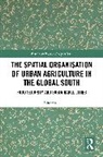 Ada Gorna, Ada Górna - Spatial Organisation of Urban Agriculture in the Global South