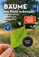 Meike Bosch - Bäume am Blatt erkennen - 78 Laub- und Nadelgehölze. Blätter in Originalgröße