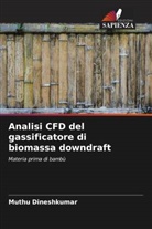 Muthu Dineshkumar - Analisi CFD del gassificatore di biomassa downdraft
