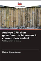Muthu Dineshkumar - Analyse CFD d'un gazéifieur de biomasse à courant descendant