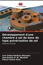 Luís Felipe Barbosa Marques, Flávio Felicio Silva, Ana Beatriz R. M. Abrahão - Développement d'une chambre à sel de banc de type pulvérisation de sel