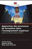 Carlos Flores, Agustín Sández, Rosa Isela Terrazas - Approches des processus de formation dans l'enseignement supérieur