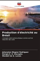 Giorgio E. O. Giacaglia, Wendell de Q. Lamas, Johanatan Wagner Rodriguez - Production d'électricité au Brésil