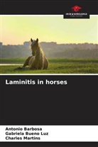 Antonio Barbosa, Gabriela Bueno Luz, Charles Martins - Laminitis in horses