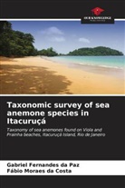 Fábio Moraes da Costa, Gabriel Fernandes da Paz - Taxonomic survey of sea anemone species in Itacuruçá