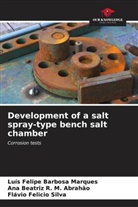 Luís Felipe Barbosa Marques, Flávio Felicio Silva, Ana Beatriz R. M. Abrahão - Development of a salt spray-type bench salt chamber