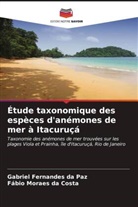 Fábio Moraes da Costa, Gabriel Fernandes da Paz - Étude taxonomique des espèces d'anémones de mer à Itacuruçá