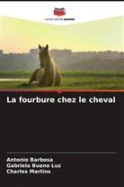 Antonio Barbosa, Gabriela Bueno Luz, Charles Martins - La fourbure chez le cheval