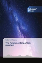 Saber Sarkhanpour - The fundamental particle manifest