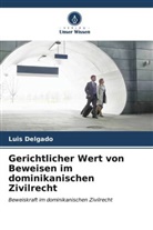 Luis Delgado - Gerichtlicher Wert von Beweisen im dominikanischen Zivilrecht
