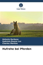 Antonio Barbosa, Gabriela Bueno Luz, Char Martins, Charles Martins - Hufrehe bei Pferden