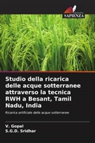 V. Gopal, S. G. D. Sridhar, S.G.D. Sridhar - Studio della ricarica delle acque sotterranee attraverso la tecnica RWH a Besant, Tamil Nadu, India