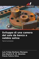 Luís Felipe Barbosa Marques, Flávio Felicio Silva, Ana Beatriz R. M. Abrahão - Sviluppo di una camera del sale da banco a nebbia salina