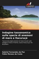 Fábio Moraes da Costa, Gabriel Fernandes da Paz - Indagine tassonomica sulle specie di anemoni di mare a Itacuruçá