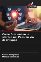 Marcus Goncalves, Gulnur Smagulova - Come funzionano le startup nei Paesi in via di sviluppo