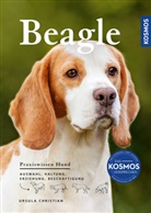 Ursula Christian - Beagle