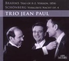 Trio op.8/Verklärte Nach (Hörbuch)