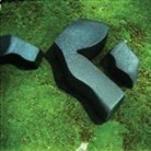 Camila Fuchs - Heart Pressed Between Stones, 1 Audio-CDs (Audio book)