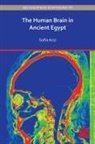 Sofia Aziz - Human Brain in Ancient Egypt