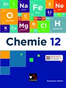 Nadine Boele, Sebastian Fiedler, Tobias Fröhlich, Simon Haselbauer, Ernst Hollweck, Simon Kleefeldt... - Chemie Bayern 12
