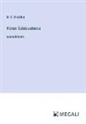 M. E. Braddon - Hänen Salaisuutensa