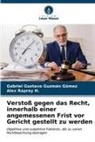 Gabriel Gustavo Guzmán Gómez, Alex Rapray H, Alex Rapray H. - Verstoß gegen das Recht, innerhalb einer angemessenen Frist vor Gericht gestellt zu werden