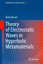 Afshin Moradi - Theory of Electrostatic Waves in Hyperbolic Metamaterials