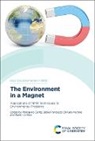 Pellegrino (University of Palermo Conte, Delia Francesca Chillura Martino, Delia Francesca (University of Palermo Chillura Martino, Delia Francesca Chillura-Martino, Pellegrino Conte, Pellegrino (University of Palermo Conte... - Environment in a Magnet