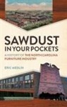 Eric Medlin - Sawdust in Your Pockets